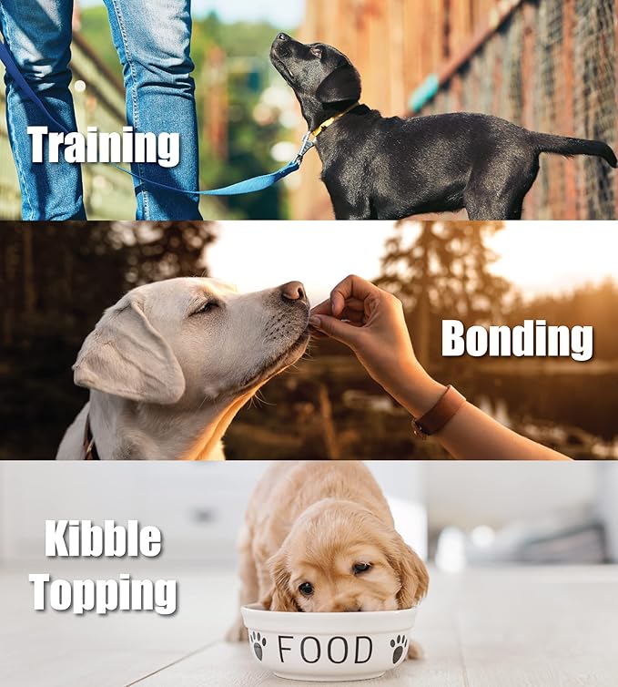 Whole Life Pet Just One Chicken - Dog Treat Or Topper - Human Grade, Freeze Dried, One Ingredient - Protein Rich, Grain Free, Made in The USA