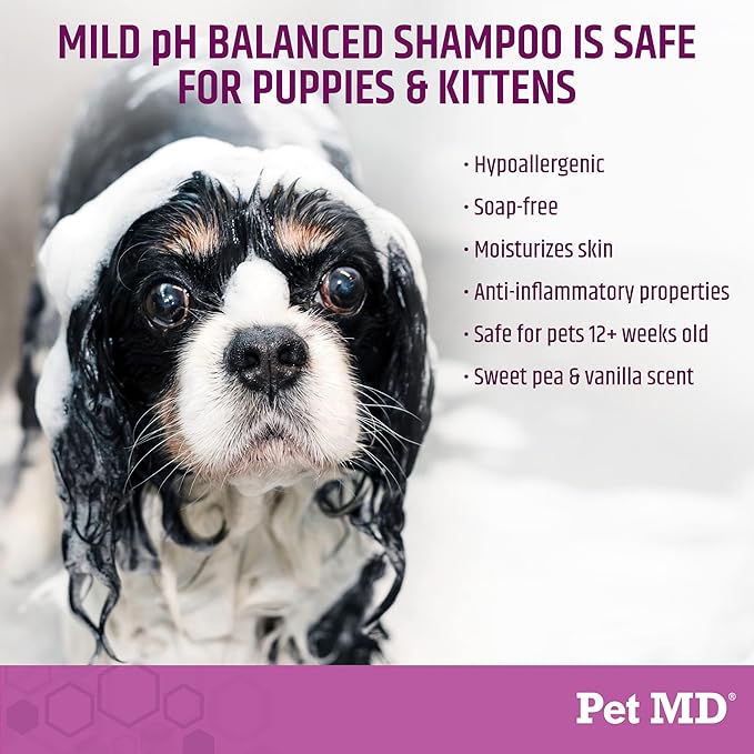 Pet MD EFA Deodorizing Shampoo for Dogs & Cats - Hypoallergenic Dog Shampoo for Sensitive Skin, Dry Skin, Itching, and Flaking - Professional Dog Shampoo Gallon