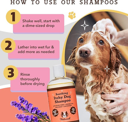 Natural Dog Company Itchy Dog Shampoo, 12 oz., Dog Dry Skin Treatment, Dog Itch Relief, Hypoallergenic, Plant Based Ingredients, Deodorizing Dog Shampoo, Relief from Skin Allergy Symptoms