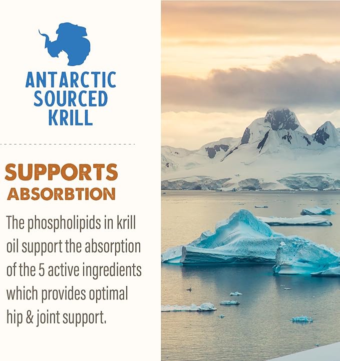 GRIZZLY PET PRODUCTS Joint Aid Liquid Hip and Joint Health Supplement Product for Dogs and Cats, 16 Ounce