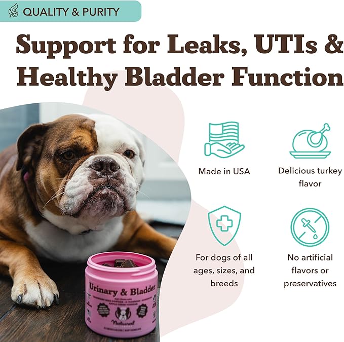 Natural Dog Company Urinary & Bladder Supplement for Dogs – Cranberry & D-Mannose Soft Chews with Marshmallow Root & Astragalus – Supports Urinary Tract Health, Bladder Function & Normal Urine Flow