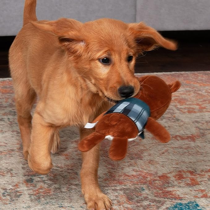 Furhaven 2-Pack Squeaky Plush Dog Toys for Small/Medium Dogs, Washable w/ Ruff Stuff Reinforcement - Dapper Dandies Woodland Collection - Bear/Squirrel, Set of 2