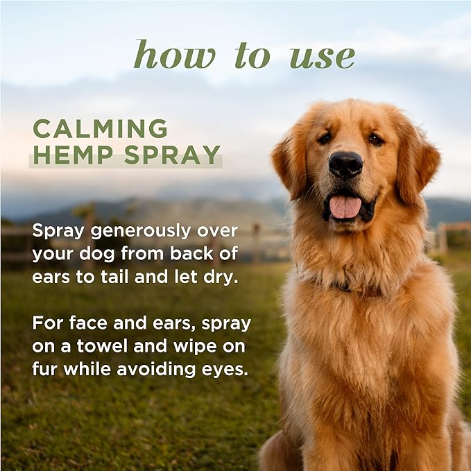 Burt's Bees for Pets Calming Spray with Hemp, 99.7% Natural Origin Formulas, Spray for Calming Dogs, Dog Anxiety Relief Spray, Calming Care for Dogs 10oz