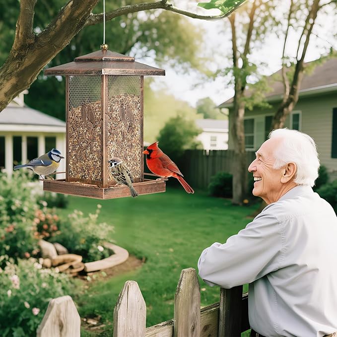 LBTING Bird Feeder for Outside, Metal Lantern-Shaped Bird Feeder, Squirrel Proof Wild Bird Feeders for Hanging Outdoor Garden Yard, Birds Pattern