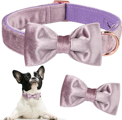 ARING PET Bowtie Dog Collar-Velvet Dog Collars with Removable Bowtie, Adjustable Bowtie Collar for Girl and Boy Dogs.