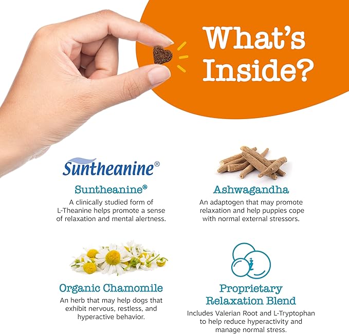 Zesty Paws Calming Chews for Dogs - for Everyday Stress, Relaxation, Composure, and Separation, Puppy Bites Turkey 90 Count