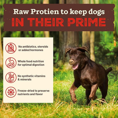 Primal Kibble in The Raw, Freeze Dried Dog Food, Chicken, Scoop & Serve, Made with Raw Protein, Whole Ingredient Nutrition, Crafted in The USA, Dry Dog Food 9 lb Bag