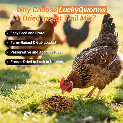 Dried Insect Trail Mix for Chickens - High Protein 42% & Calcium 1.1% for Egg Laying - Natural Treat for Birds, Reptiles, Ducks, Hedgehogs - 1 Lbs Resealable Bag
