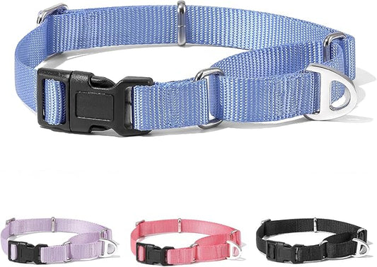 Rttochfy Martingale Dog Collars, Adjustable Nylon Dog Collar with Quick Release Buckle, No Choke Dog Training Collar for Small Medium Large Dogs (Blue, L)