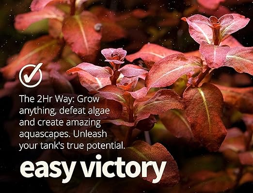 2HR Aquarist All-in-One Aquarium Plant Fertilizer APT 1/ Zero (500ml)