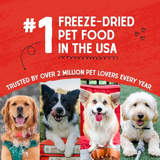 Stella & Chewy's Freeze Dried Raw Dinner Patties  Grain Free Dog Food, Protein Rich Absolutely Rabbit Recipe  14 oz Bag