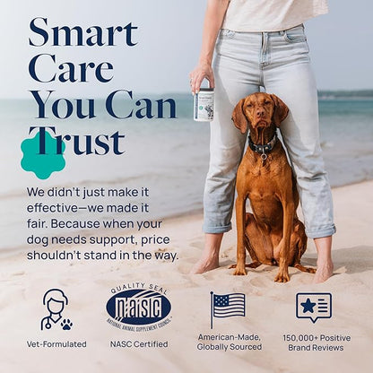 Veterinary Formula Anal Gland Support for Dogs  Vet-Formulated No Scoot Chews with Pumpkin, Ginger, Agave Inulin & Probiotics  Supports Scooting, Stool Quality & Digestive Health, 60 Soft Chews