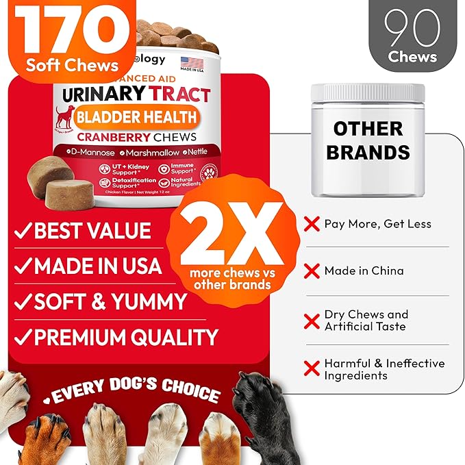 Dog UTI Treatment - 170 Cranberry Chews for Dogs - Urinary Tract Infection, Bladder & Kidney Health Multivitamin - Cranberry Supplement for Dogs with D-Mannose - Dog Vitamins and Supplements