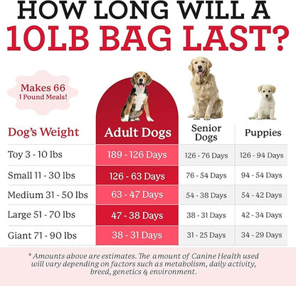 Dr. Harvey's Canine Health Miracle Dog Food, Human Grade Dehydrated Base Mix for Dogs with Organic Whole Grains and Vegetables (10 Pounds)