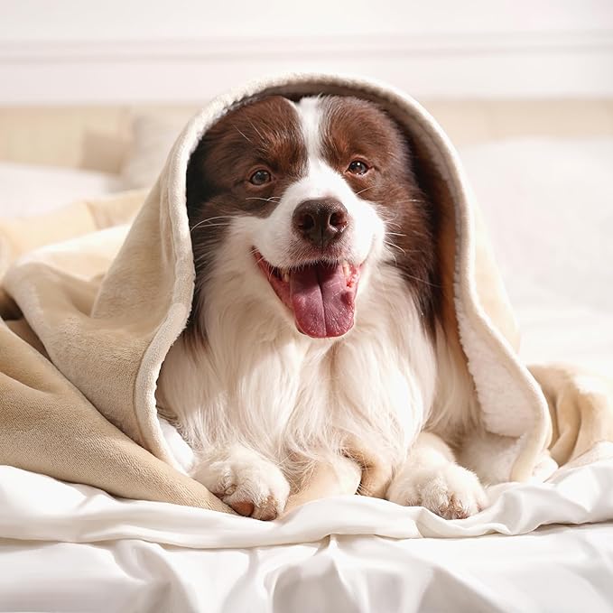 gogobunny Waterproof Bed Blanket, Reversible Sherpa Fleece Throw Blanket for Dog Puppy Cat, Furniture Cover Protects Bed Couch Sofa from Liquid Pee and Pet Fur (Beige, 50x60 inches)