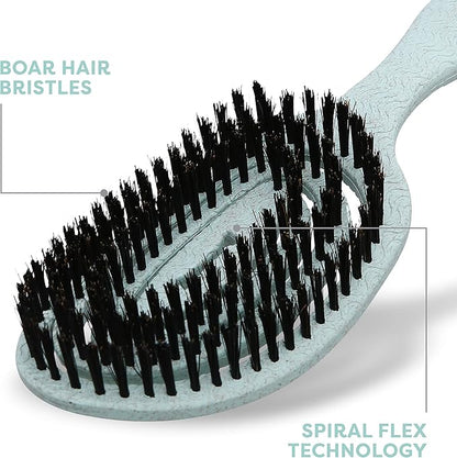 for Dogs Eco-Friendly Boar Hair Bristle Brush in Mint Green | Easy to Hold Ergonomic Handle Dog Brush for Shedding | Best Pet Brush for Dog Grooming