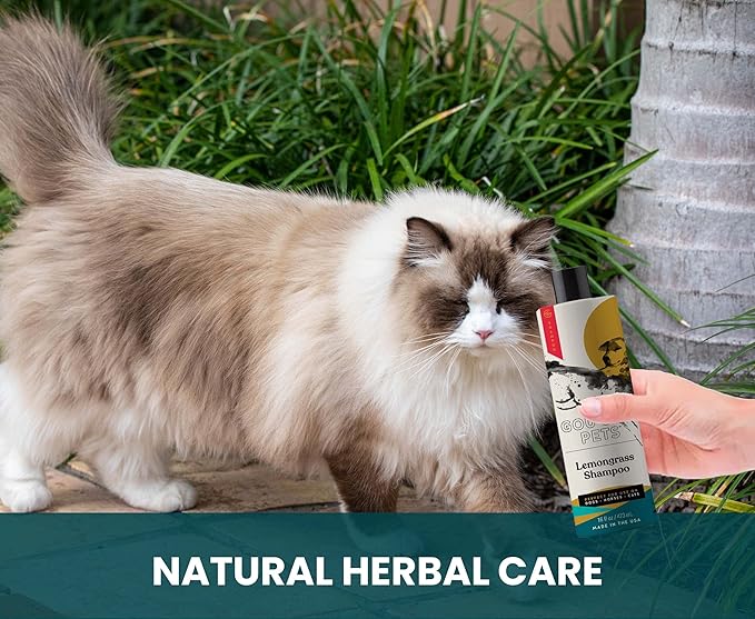 Holistic, Natural and Clean Pet Care Lemongrass Shampoo: Veterinarian Recommended - Hydrate Your Pet_ Coat With Our Hypoallergenic Shampoo For Dogs, Cats and Horses - Made in USA - 16 oz