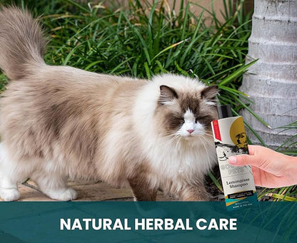 Holistic, Natural and Clean Pet Care Lemongrass Shampoo: Veterinarian Recommended - Hydrate Your Pet_ Coat With Our Hypoallergenic Shampoo For Dogs, Cats and Horses - Made in USA - 16 oz