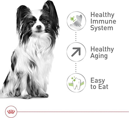 Royal Canin X-Small Aging 12+ Dry Dog Food, 2.5 lb bag