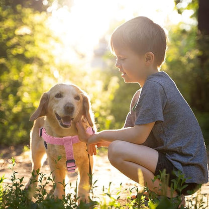 Dog Harness and Leash Set for Small Dogs Rayon Derived from Bamboo 90%, Polyester 10%, No Pull Dog Harness, Step-in Adjustable Dog Leash, XS XXS Dog Harness and Leash Set