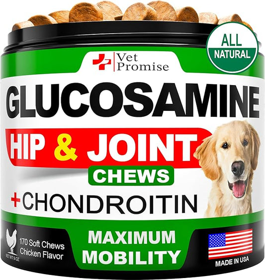 Vet Promise Glucosamine for Dogs - Hip and Joint Supplement for Dogs - Glucosamine Chondroitin - Joint Pain Relief Pills - MSM - Advanced Health Support Supplement - 170 Mobility Chews - Made in USA
