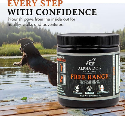 Free Range Joint Health Enhancer Supplement Powder for Dogs by Alpha Dog Nutrition - Premium Dog Arthritis Vitamins to Care for Joints - Contains Glucosamine, Chondroitin, MSM, Vitamin E, & More