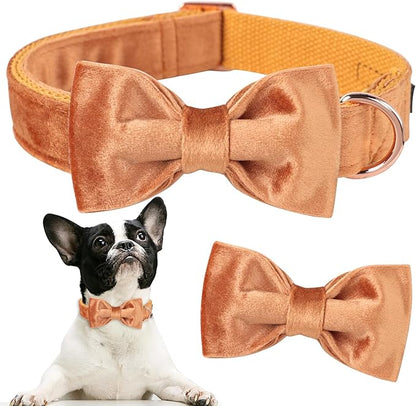 ARING PET Bowtie Dog Collar,Velvet Dog Collars with Detachable Bowtie, Yellow Soft Dog Collar,X-Large.