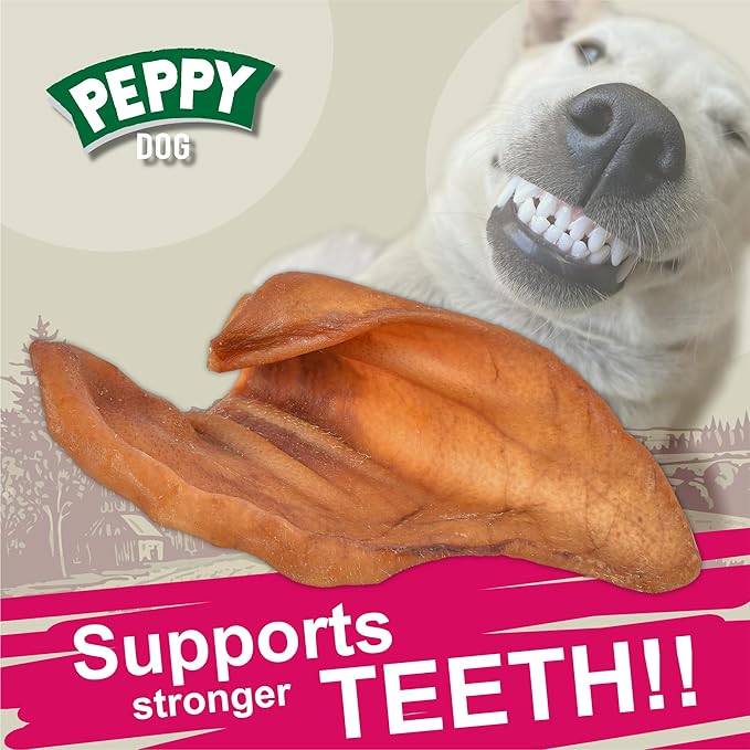 Full Pig Ears for Dogs (25 Count, 2.3 lb) | Natural Single Ingredient Dog Treats | Rawhide Alternative | Healthy Chews by Gnaws