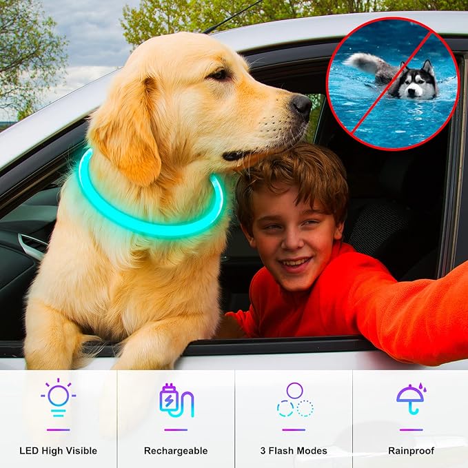 Light Up Dog Collars, Single-Color USB Rechargeable Dlitk LED Dog Collar 1 Count, TPU Cuttable Size Glow Collar for Dogs, Dog Collar Light, Please Do Not Use Fast Charging (Cyan)