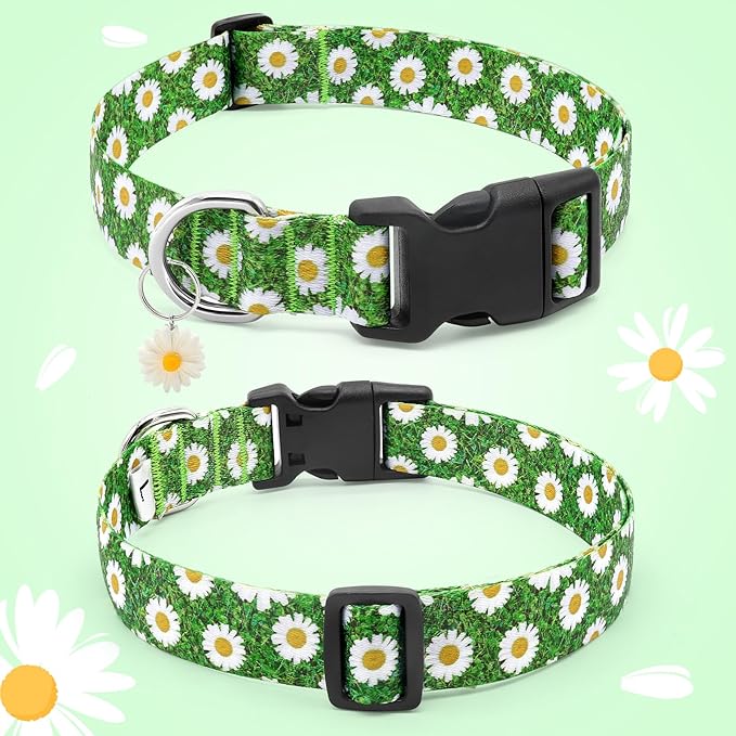 BiPawTi Green Dog Collars for Large Dog - St. Patrick's Day Dog Collars for Girls Dog, Cute Flower Spring Dog Collar with Daisies Charms, Gift for Female Male Boys Girls Dogs (L, Green)
