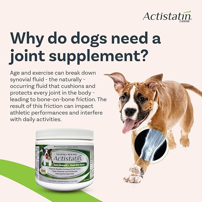 Actistatin Canine Small Dog Soft Chews, 120ct  Patented Extra-Strength Joint, Cartilage, Soft Tissue Supplement: Glucosamine, Chondroitin, Manganese, MSM, L-Carnitine  High Absorption, Fast Results