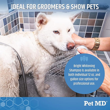 Pet MD Bright Whitening Shampoo for Dogs & Cats - Colloidal Oatmeal Moisturizes and Restores Dry Fur - Professional Dog Shampoo Gallon - Tearless Grooming Formula for Puppies & Kittens