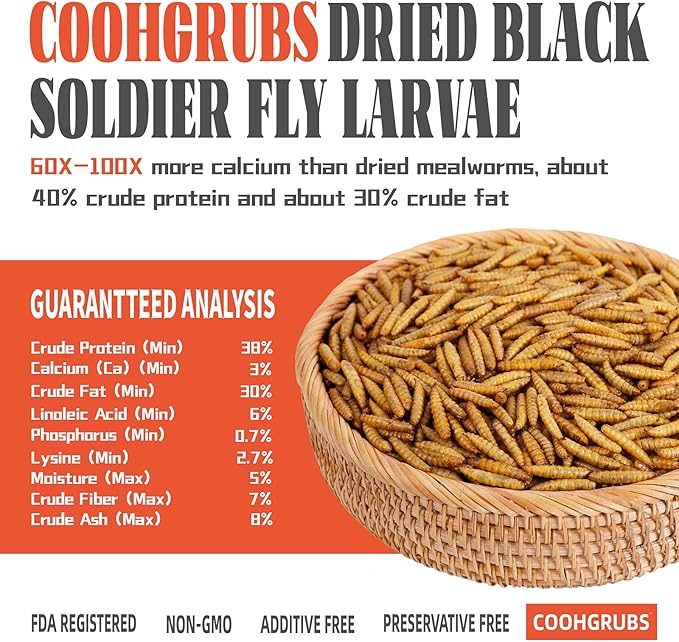 Dried Black Soldier Fly Larvae for Chickens 10 lb - All Natural High-Calcium Poultry Feed & Bird Treats