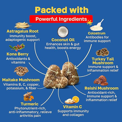 Happy Paws Turmeric Supplement for Dogs, Daily Wellness & Immunity Support for All Breeds & Ages, Made with Turmeric, Colostrum & Turkey Tail Mushrooms, Pumpkin Flavor, Non GMO, 100 Soft Chews