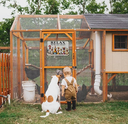 Funny Chicken Gifts Relax We‘re All Crazy It's Not Competition Tin Sign for Home Farm Chicken Coop Farmhouse Kicthen Garden Decor 8 X 12 Inch (3621)