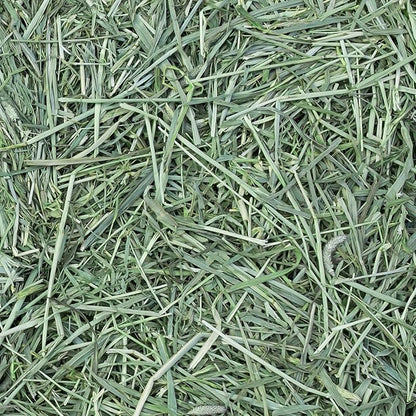 Eaton Pet and Pasture Naturally Grown, Premium, 1st Cut Blend, Western Timothy Hay Orchard Blend, Small Animal Food, Sustainable, Eco-Friendly, Farmer-Owned, 6LB-Box.