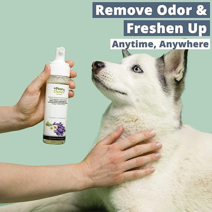 Paw Choice Dry Shampoo for Dogs - Waterless No-Rinse Foam for Odor Removal, Cleaning, Conditioning - Hypoallergenic, Natural - Safe for Sensitive Skin - Made in USA - Lavender Chamomile Scent