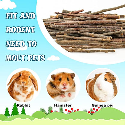 600g/1.3lb Apple Sticks Chew Toys for Guinea Pigs Rabbit Teeth Grinding Treats Toys for Bunny Chinchillas Hamster Gerbil Parrot Small Animal Pet Supplies