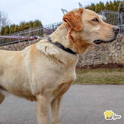 ADITYNA - Leather Dog Collar for Medium Dogs - Classic Style, Soft and Strong, Heavy Duty, Top-Grain Leather, Handmade - for Walking, Training, Hiking, and Running (M - Neck: 15-20 inches, Brown)