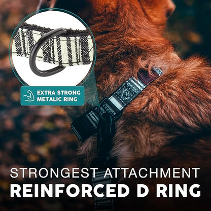 Embark Urban Dog Collar  Dog Collar Stylish & Durable Nylon Dog Collar for Large Dogs, Small Dogs & Medium Dogs.Comfortable Pet Collar Strong Buckles for Any Size Breed (Lunar, Large)