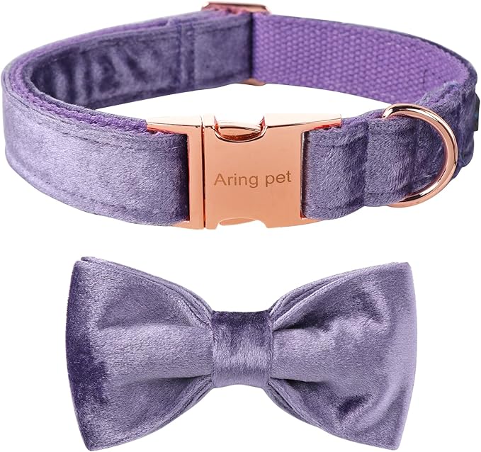 ARING PET Bowtie Dog Collar-Velvet Dog Collars with Removable Bowtie, Cute &Comfortable Purple Dog Collar,X-Small.