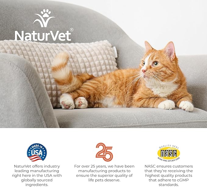 NaturVet  Digestive Enzymes for Cats Plus Probiotics  60 Soft Chews  Helps Support Diet Change & A Healthy Digestive Tract  Aids in The Absorption of Vitamins & Minerals  30 Day Supply
