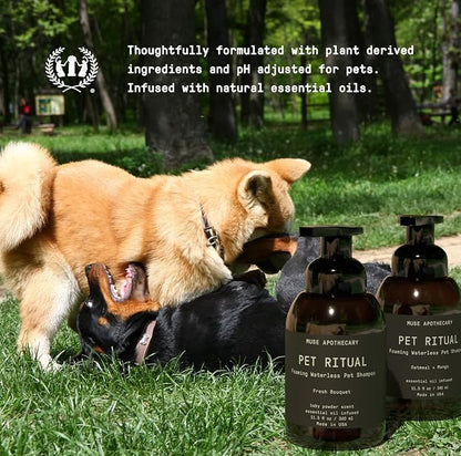 Muse Apothecary Pet Ritual Foaming Waterless Dog Shampoo - No Rinse Dry Shampoo for Dogs & Cats - Essential Oils Infused, 11.5oz, Oatmeal + Mango