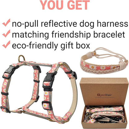 Pettsie No-Pull Dog Harness Reflective, 4 Adjustable Straps, Easy Control with 2 Leash Clips for Walking or Training, Matching Friendship Bracelet, Soft and Durable Hemp for Sensitive Skin, Gift Box