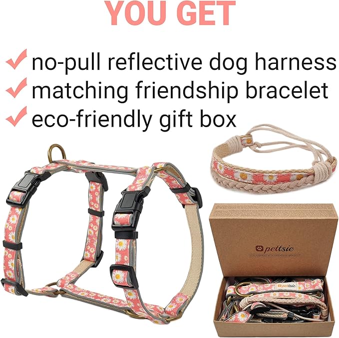 Pettsie No-Pull Dog Harness Reflective, 4 Adjustable Straps, Easy Control with 2 Leash Clips for Walking or Training, Matching Friendship Bracelet, Soft and Durable Hemp for Sensitive Skin, Gift Box