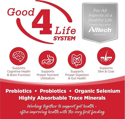 NutriSource Dry Dog Food for Large Breeds, Beef and Rice, 26LB