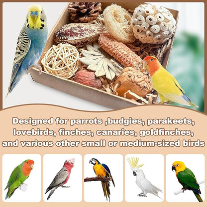 2 in 1 Parrot Toys, Tyotrbs Parakeet Foraging Box DIY Hanging String with Comes with 2 Hooks Bird Toy for Parakeets,Cockatiels,Conures,Love Birds Cage Accessories for Small to Medium Birds