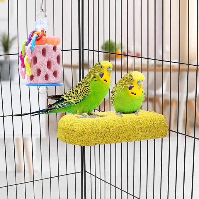 Wontee Bird Calcium Grinding Chewing Toys Bird Perch Stand for Cockatiels Conures Quaker Senegal Parrot, 2 Packs