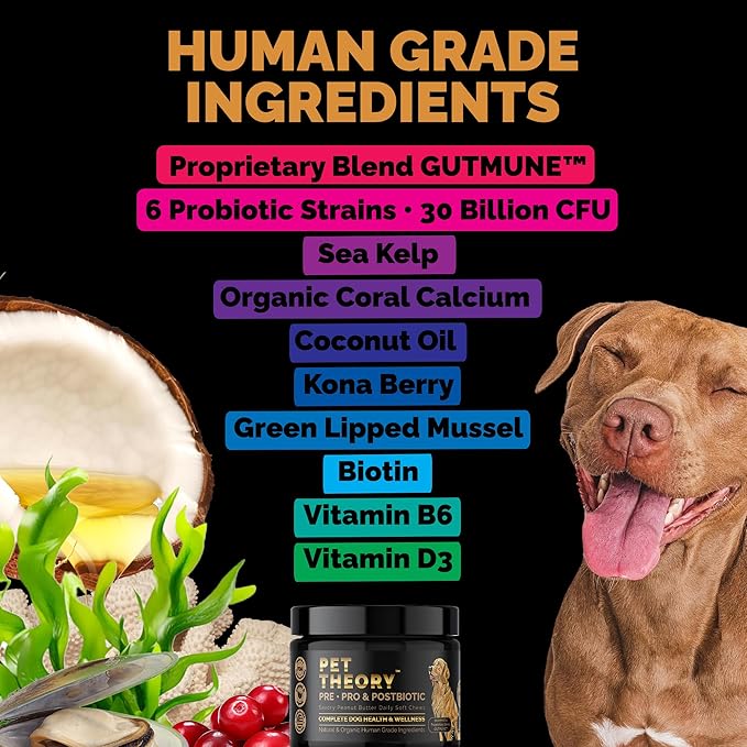 Probiotics for Dogs. Dog Digestive Health-Pre Pro and Postbiotic Combination-Pet Supplements for Gut Health-Supports Digestion, Boost Immunity-100CT Soft Chews
