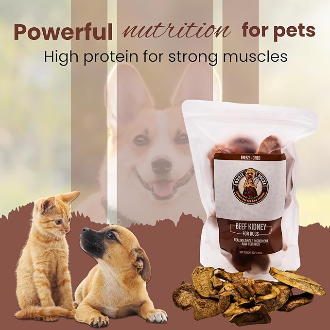 Freeze Dried Beef Kidney Dog Treats - Single Ingredient Beef Dog Treats with High Protein - Low Fat & Carb Dog Snacks for Digestive & Dental Health - 100% Beef - 5oz